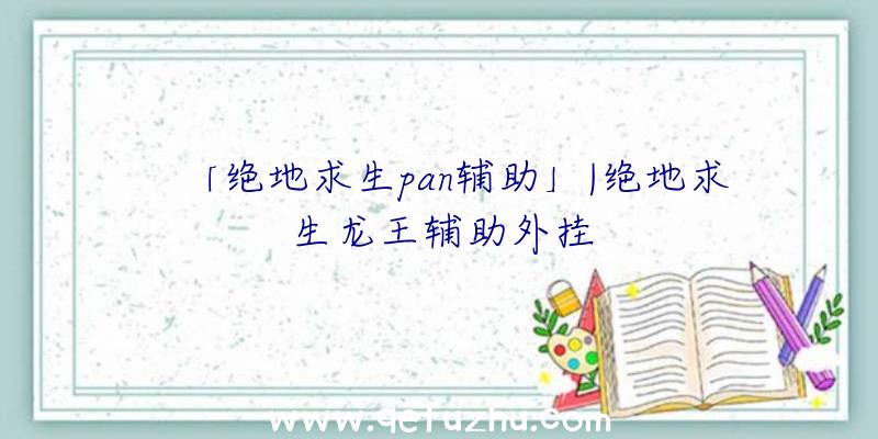 「绝地求生pan辅助」|绝地求生龙王辅助外挂